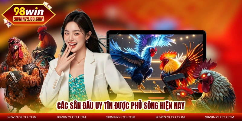 Các sân đấu uy tín được phủ sóng hiện nay