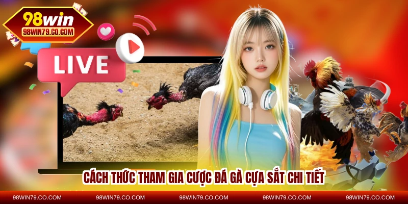 Cách thức tham gia cược đá gà cựa sắt chi tiết