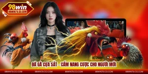 Đá Gà Cựa Sắt – Cẩm Nang Cược Cho Người Mới