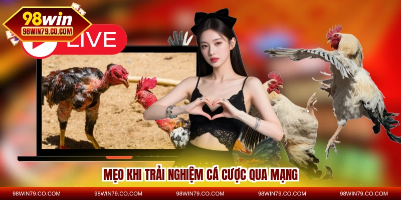Mẹo khi trải nghiệm cá cược qua mạng